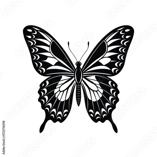 Black and white illustration of a butterfly insect