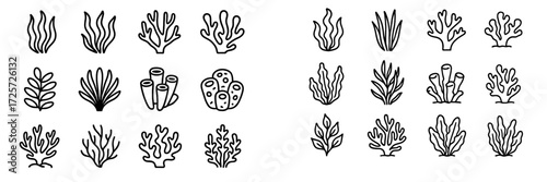 Simple line drawings of various underwater plants and corals for art and design projects