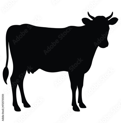 Black silhouette of a cow standing on a white background cattle animal