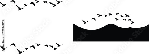Bird flight silhouettes with landscape curves and V-formations, black and white vector artwork, nature, minimal, harmony, migration, sky, peaceful design
