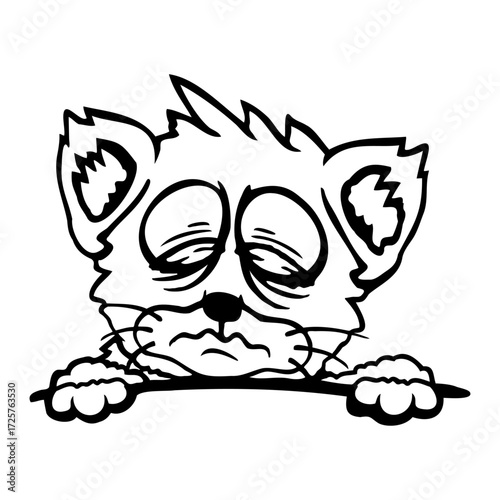 Cat Pet Tired Behind Fence Bag Sleepy Exhausted Sad