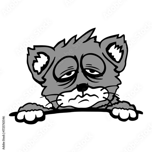 Cat Pet Tired Behind Fence Bag Sleepy Exhausted Sad