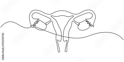 A minimalist continuous one-line drawing of a realistic uterus organ,  Continuous Line Drawing of Uterus Icon. Hand Drawn Symbol Vector Illustration. Continuous Line style Women's Health with women's 