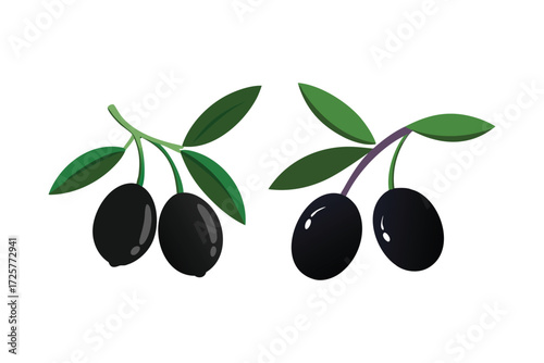 Two stylized branches with ripe black olives and vibrant green leaves against a clean white background