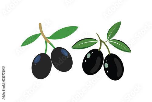 Two branches of ripe black olives with green leaves on a white background isolated healthy food illustration