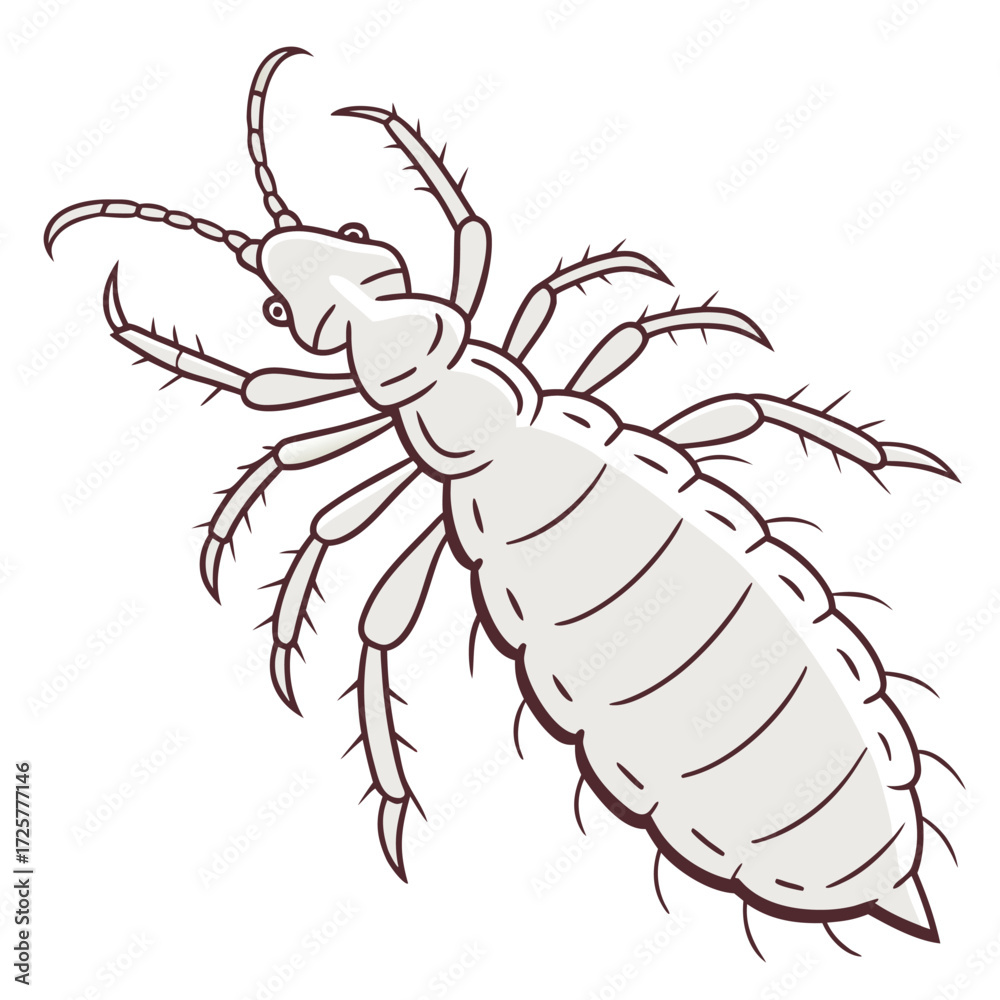 Naklejka premium Cartoon illustration of a louse insect with antennae and legs on white background Keywords: louse, insect
