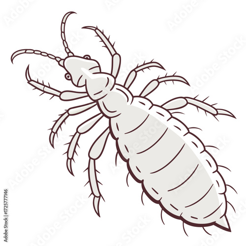 Cartoon illustration of a louse insect with antennae and legs on white background Keywords: louse, insect