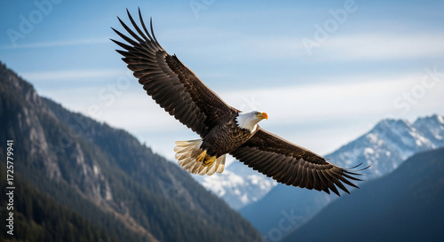 Wallpaper Mural Majestic bald eagle flying over a snow-capped mountain range Torontodigital.ca