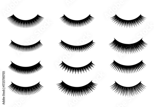 Twelve pairs of lashes arranged in a neat threebyfour grid pattern