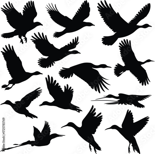 Vector art of silhouette of various birds flying, featuring ducks, geese, herons, and other waterfowl in different poses and angles