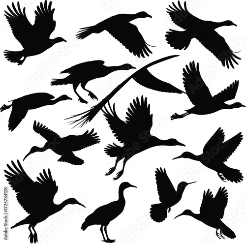 Vector art of silhouette of a flock of birds in flight, creating a dynamic and captivating composition with various species and poses