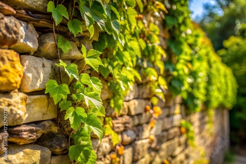 Green foliage and lush moss grow on a rustic stone wall, evoking a sense of ancient, untamed nature