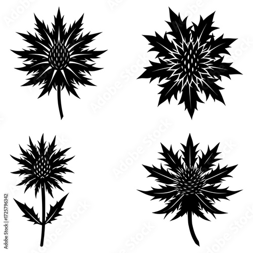 Four black thistle flowers with spiky leaves on white background in a vector illustration format design