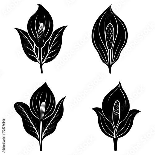Four stylized black and white peace lily flowers with detailed spadix and spathe arrangement design