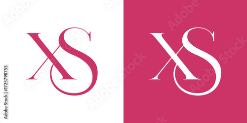 XS Letter Abstract Logo Vector , Initial Logo Element