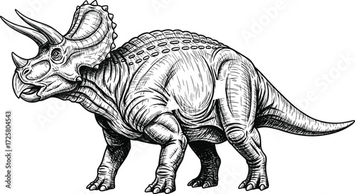 Triceratops, dinosaur, cartoon, black, white, illustration, prehistoric, horns, frill, ancient, creature, vector, sketch, reptile, fossil, extinct, animal, drawing, Cretaceous, paleo, nature