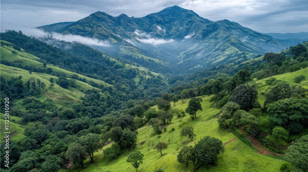 Fototapeta premium Lush green hillsides cascade down a valley, meeting a misty mountain range.