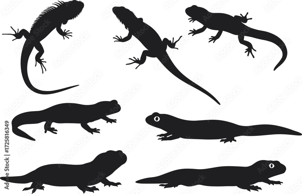 Naklejka premium Lizard silhouette vector set, reptile species clipart, black animal shapes, herpetology illustration, amphibian design, isolated lizards, nature graphic collection