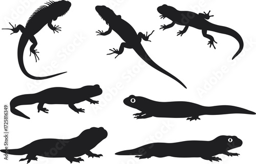 Lizard silhouette vector set, reptile species clipart, black animal shapes, herpetology illustration, amphibian design, isolated lizards, nature graphic collection