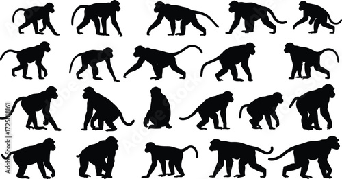 Collection of monkey silhouette vector icons showing animal poses, wildlife illustration, primate movement, jungle creatures, wild animal graphic art