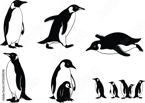 Penguin vector silhouettes and line art in walking, swimming, parenting, and group march poses — ideal for wildlife design, education, logos, Antarctic themes, and children’s content.