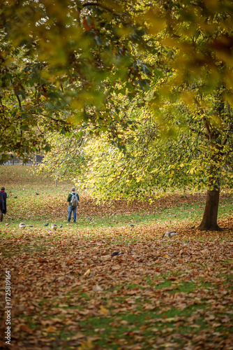 St James's Park London, autumn in London 
