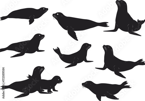 Silhouette of playful sea lions in various poses, ideal for marine wildlife designs, educational materials, and coastal-themed vector illustrations
