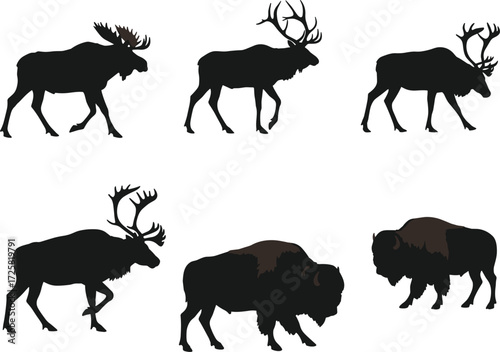 Silhouettes of wild hoofed mammals, deer, elk, bison walking in profile, wildlife vector illustration for nature, hunting, and animal design themes