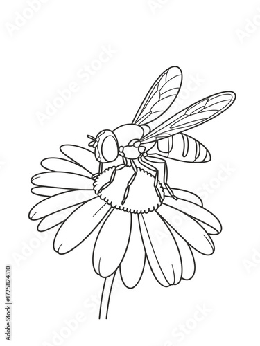 Line drawing of a bee on a daisy flower