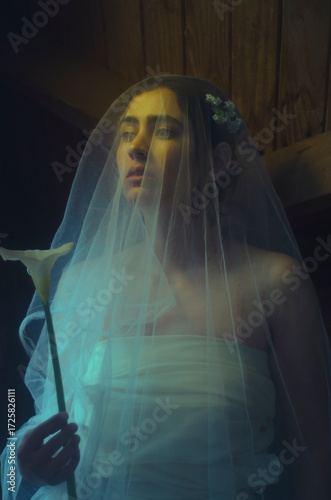retrato artistico mujer con velo y flores blancas, inetior