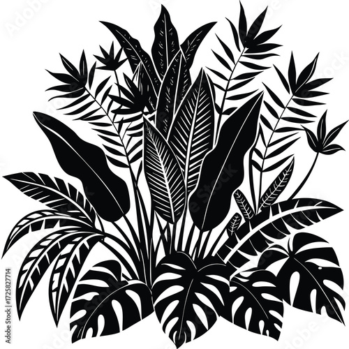 Abstract black and white jungle plant illustration with vibrant color accents and organic shapes
