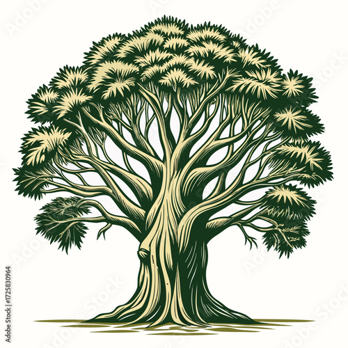 Vintage banyan tree engraving style illustration with intricate roots and branches