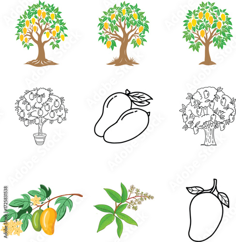 mango tree with ripe fruit , mango tree , mango , vector design , 