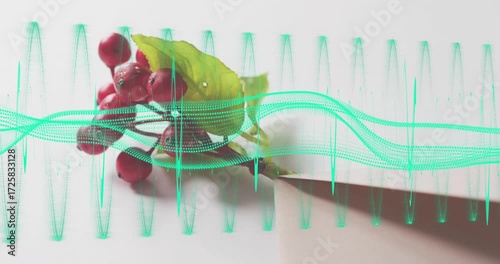 Waveforms appearing around red berry sprig, pulsing to visualize rhythm while sprig shifting right