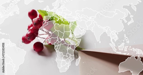After delay map fading and panning across world over red berry sprig showing connectivity