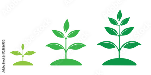 Three green plants in different stages of growth from seedling to mature sapling representing progress and development