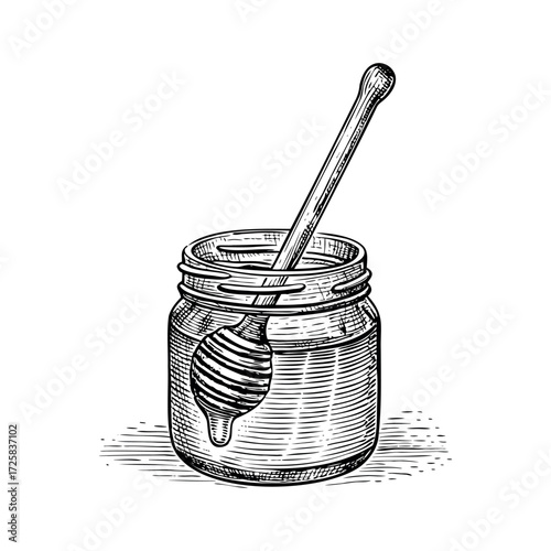 Honey jar with dipper illustration in vintage sketch