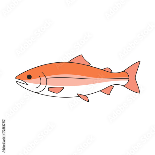Stylized Salmon Illustration with Orange and White Coloration Black Outline
