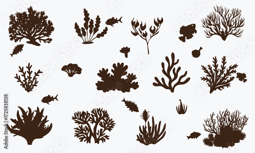 Collection of dark brown silhouette illustrations of various marine plants and small fish on a white background