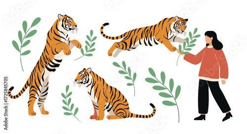 Illustrations of tigers in different poses interacting with plants and a person.