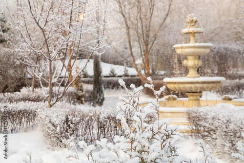 A fragment of a landscape park in winter, trees, bushes and a fountain under the snow.. A place of rest in a big city. Climate, weather.