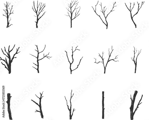 Set illustrations of wooden stick isolated on transparent background. Vector graphics