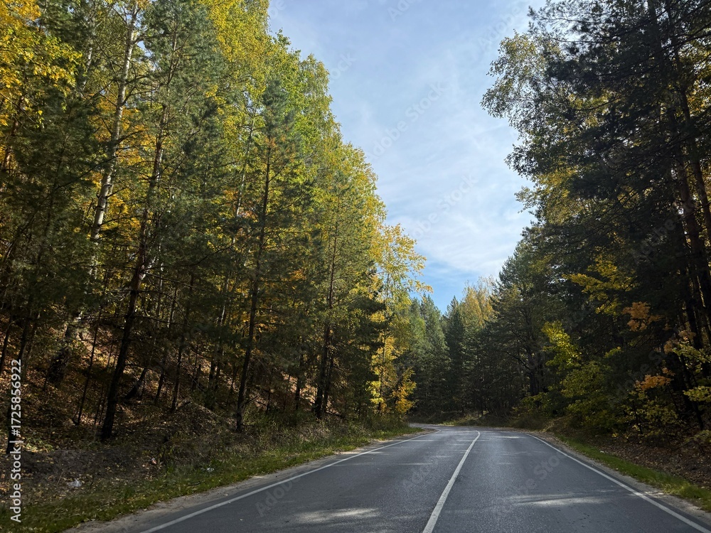 Fototapeta premium Landscape with an empty asphalt road through the forest in autumn. Travel. Trip
