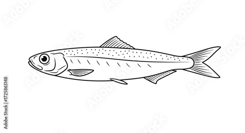 Small silvery fish with a streamlined body and forked tail.