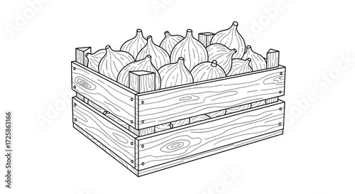 A crate full of fresh ripe figs is stacked high.