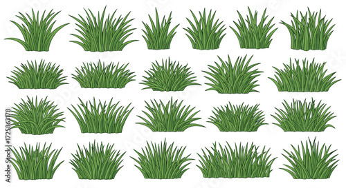 A collection of green grass illustrations of various shapes and sizes.