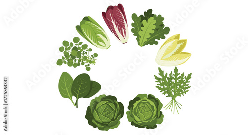 A variety of leafy greens arranged in a circle.