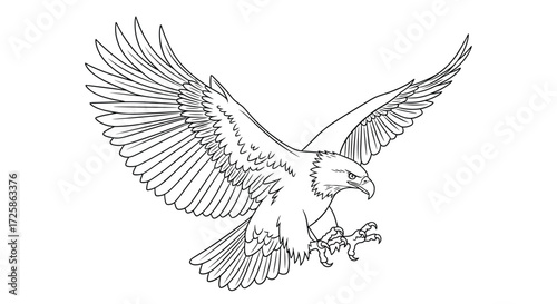 A detailed line drawing of a majestic bird of prey with its wings spread wide in flight.