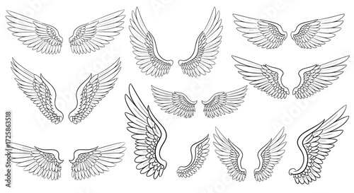 A collection of stylized artistic wings for creative designs.