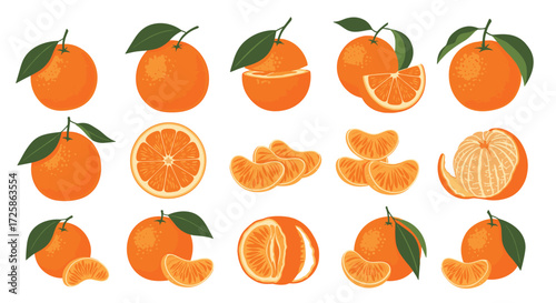 A collection of various mandarin orange fruits and slices.